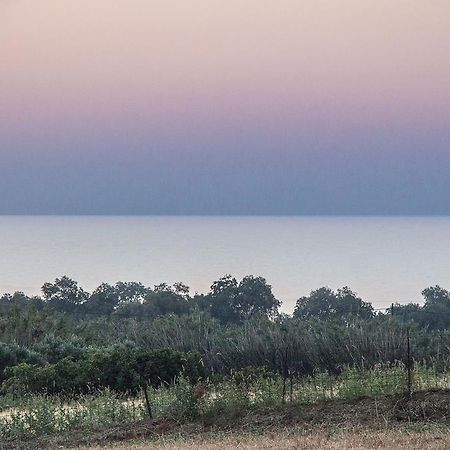 Villa Manoutsio Episkopi  Luaran gambar